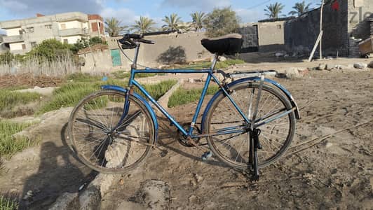 عجلة لباني ٢٦