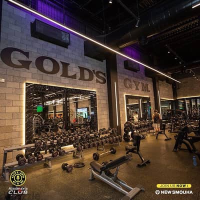 Goldes gym Alexandria club