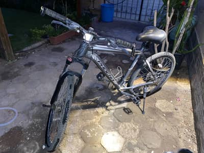 Phoenix bicycle