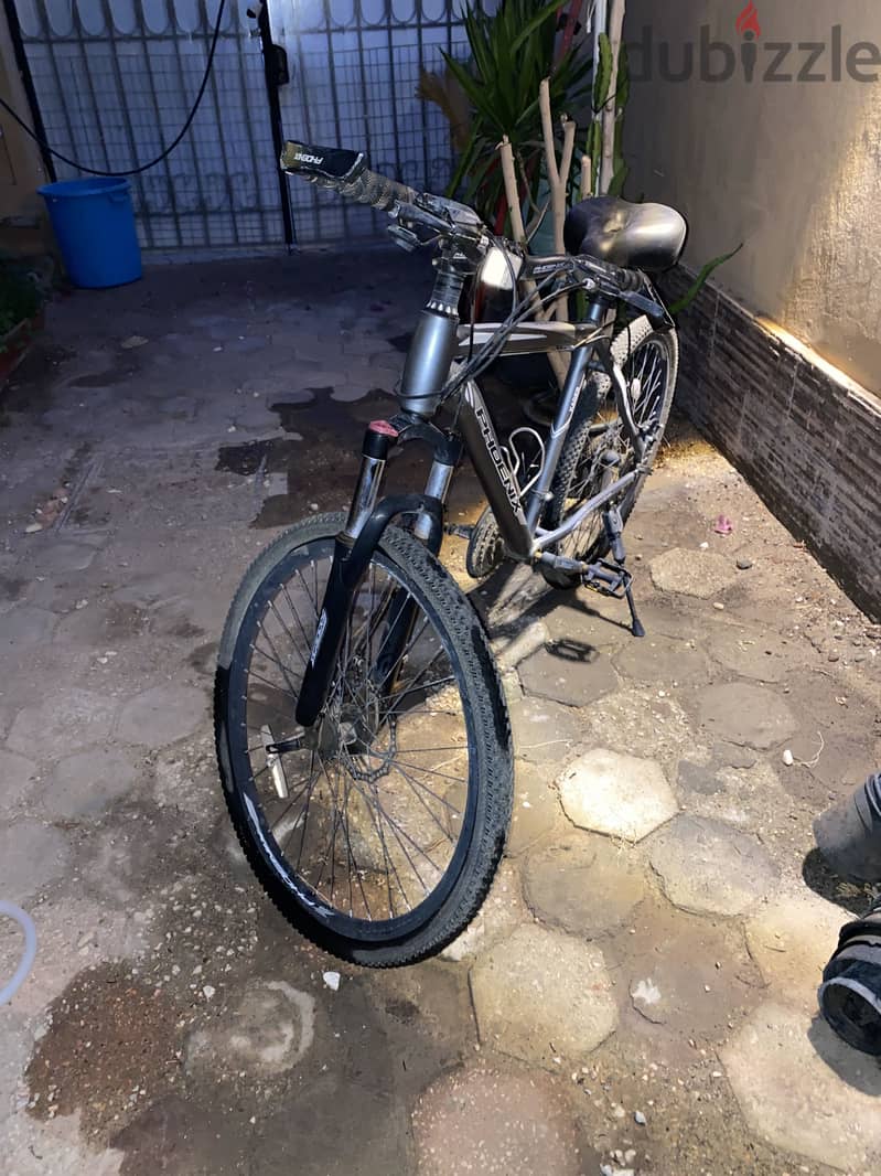 Phoenix bicycle 1