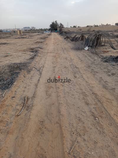 Land suitable for the establishment of a residential building in Sheikh Zayed