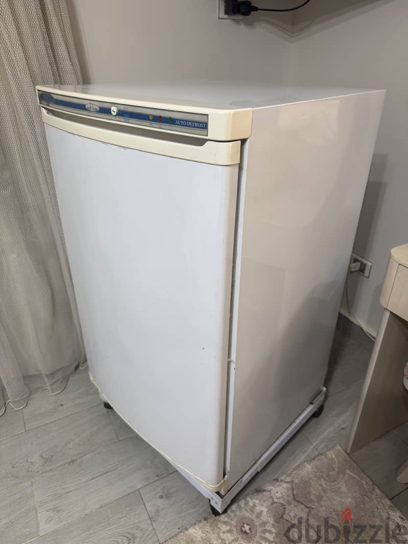 Passap Used Deep Freezer 3