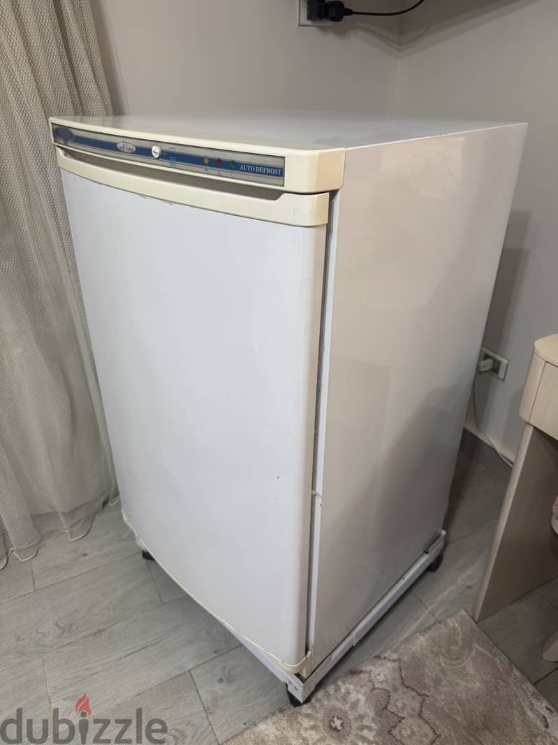 Passap Deep Freezer 1