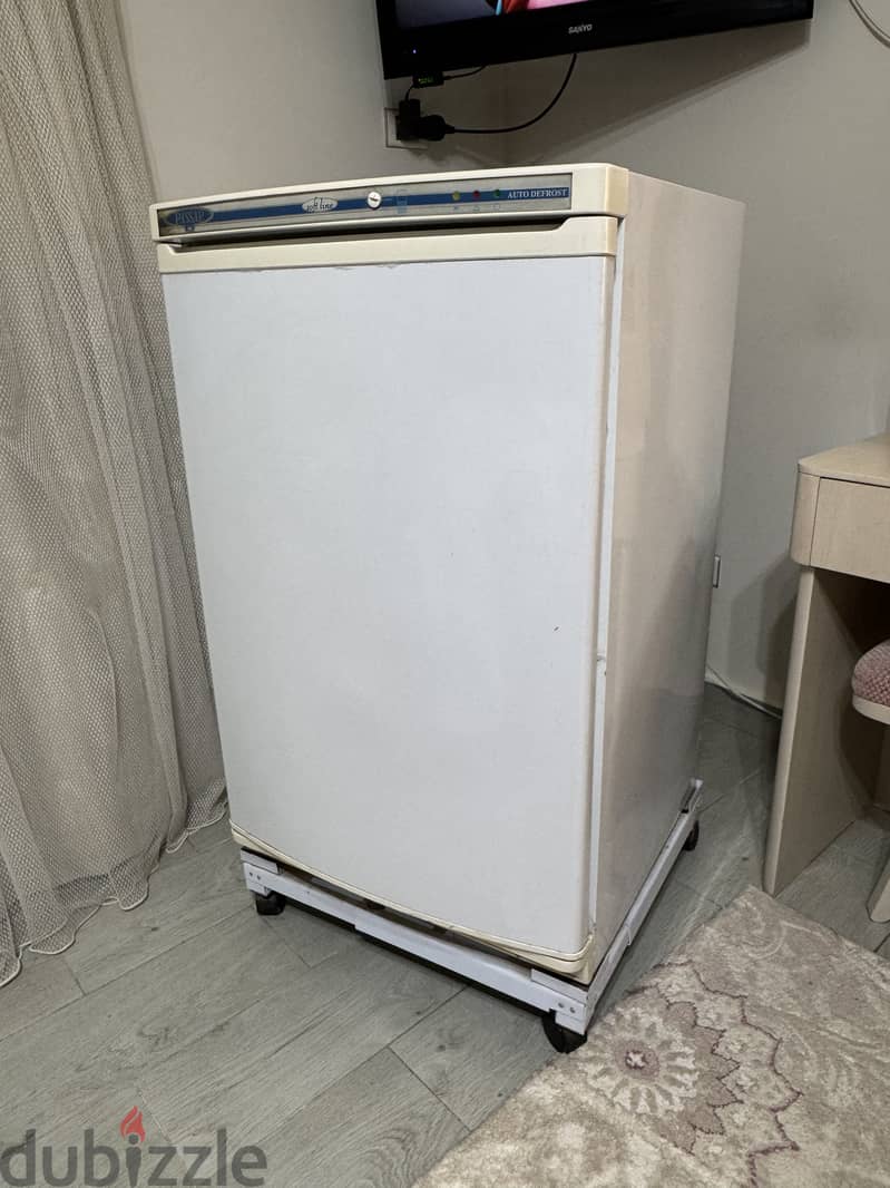 Passap Deep Freezer 2