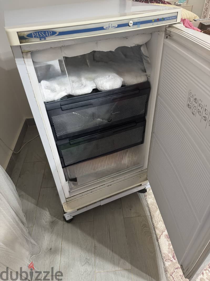 Passap Deep Freezer 3