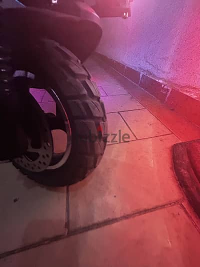 Crony v10