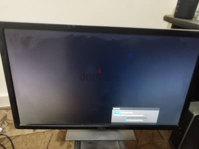 Dell Professional P2411H