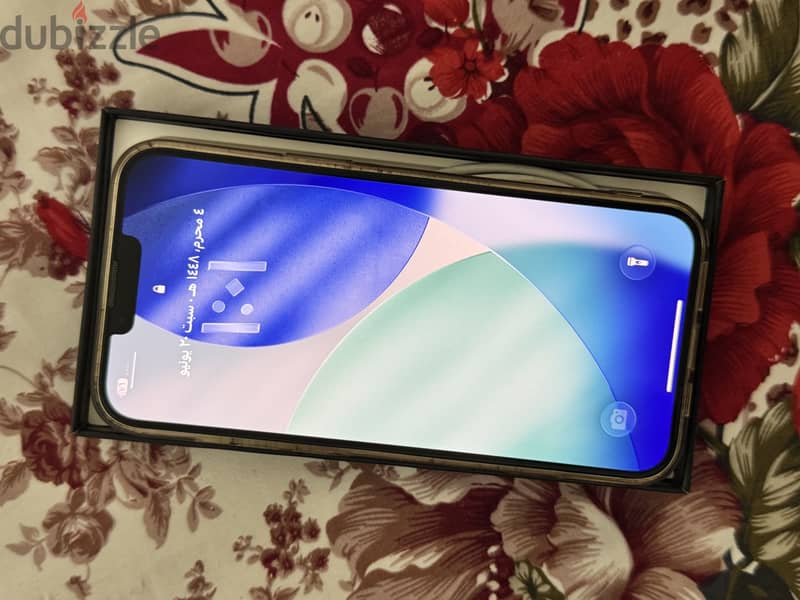 Apple - iPhone 13 Pro Max 1