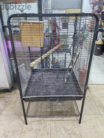 قفص بغبغانات كبير