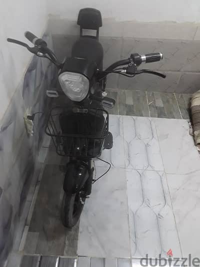 حدائق الاهرام