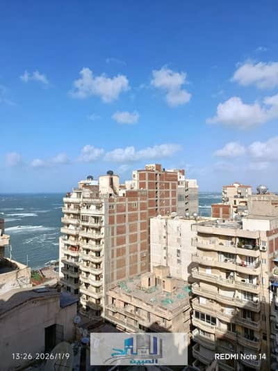 ميامي