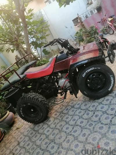 بيتش باجي