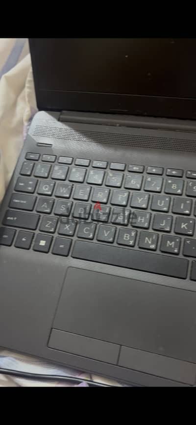 Hp 255 g 8