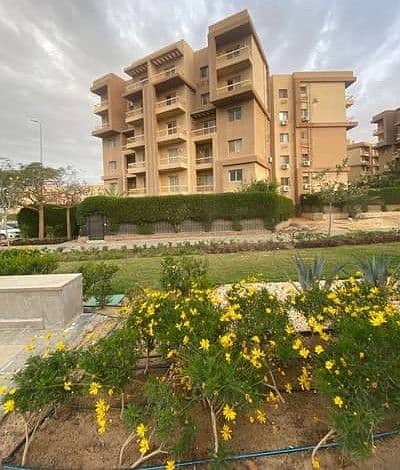 بنتهاوس للبيع 115م ب اشجار سيتي ashgar city ب حدائق اكتوبر بجوار دار مصر و الفردوس و أو ويست و أشجار هايتس و روك ايدين و صن كابيتال و كنز كمبوند