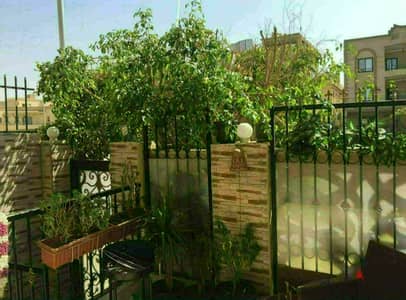  شقة فاخرة للبيع في البنفسج 2 – موقع مميز على شارع رئيسي – أرضي مرتفع بمدخل خاص – تشطيب الترا سوبر لوكس – جاهزة للاستلام الفوري – فرصة استثمار وسكن ر