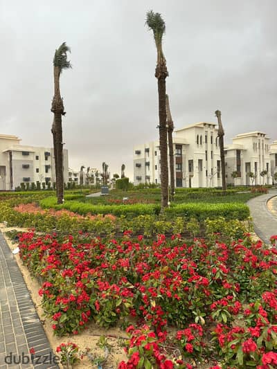 شاليه في الساحل الشمالي متشطب فوري في الاهلي صابوور