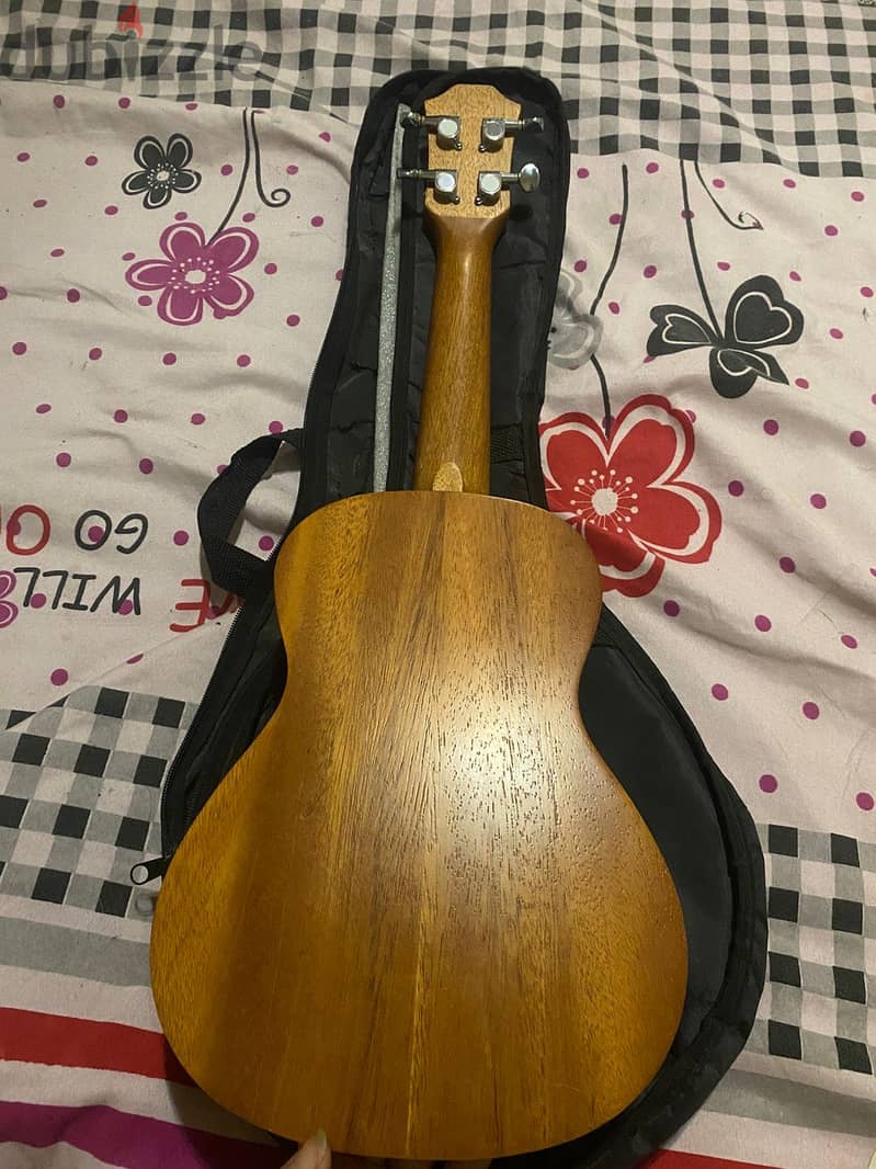 WINZZ Ukulele 2