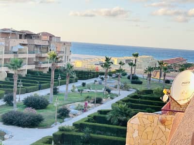 استوديو  بقرية بلومار  سيدى عبد الرحمن