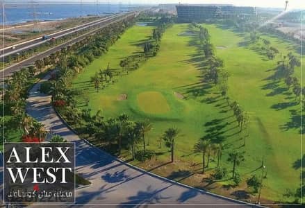 Apartment for sale, delivery 2027, and installment facilities for 5 years in Alex West, Alexandria