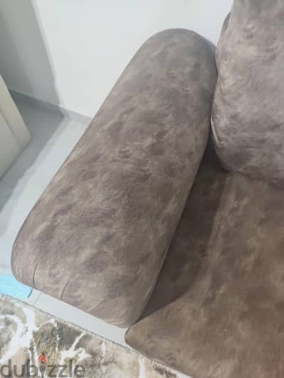 انترية