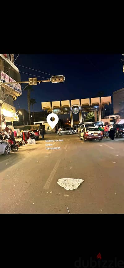 شقه بالمنصورة مقابل بوابه كليه التربيه ايجار يومي / شهري برج و اسانسير