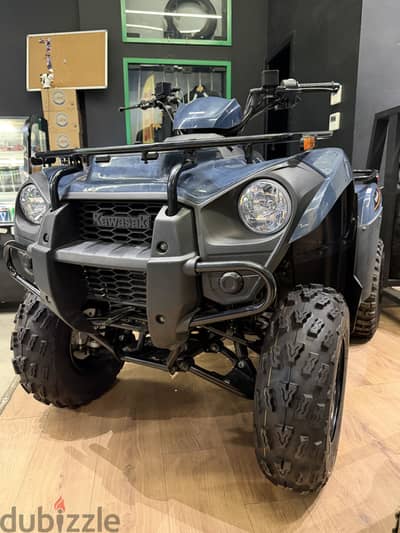 Brute Force 300 cc