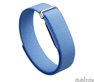 Google fitbit air
