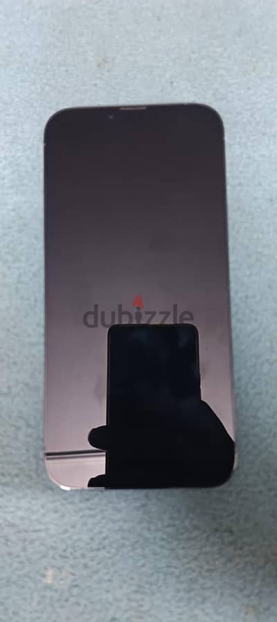 Apple - iPhone 13 Pro Max
