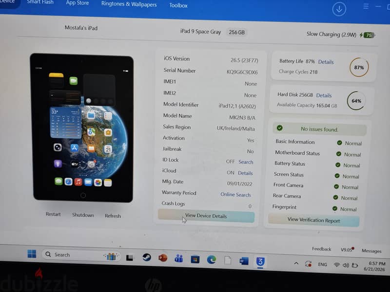 ipad 9th 256 4