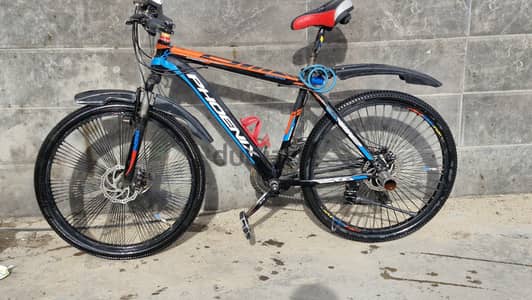 phoenix 26100
