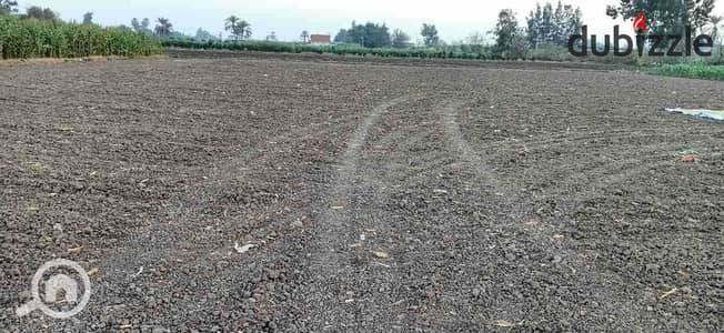 Free land rent 900 mtr all details whatsup 01062124366