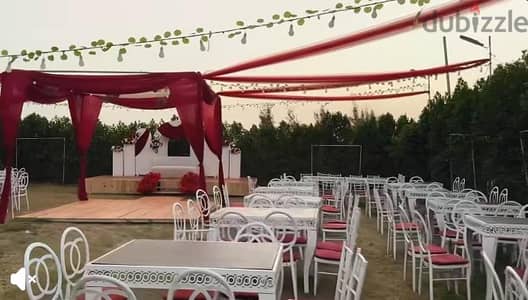 تنظيم حفلات الزفاف
