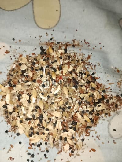 بذور طاقه مكونه من 11صنف لجميع انواع الطيور  سعر الكيلو 200ج