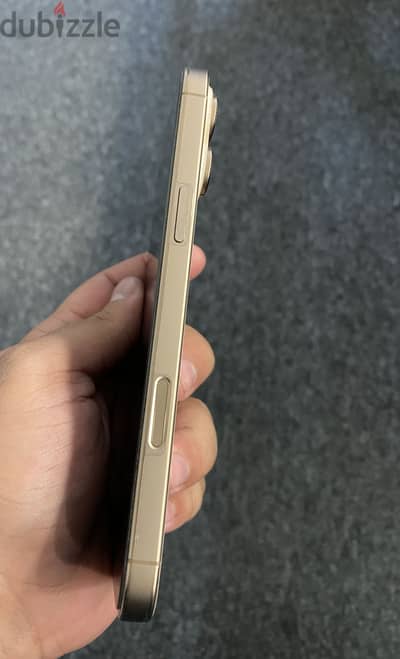 Apple - iPhone 16 Pro Max