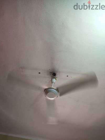 مروحه سقف و السعر لقطه
