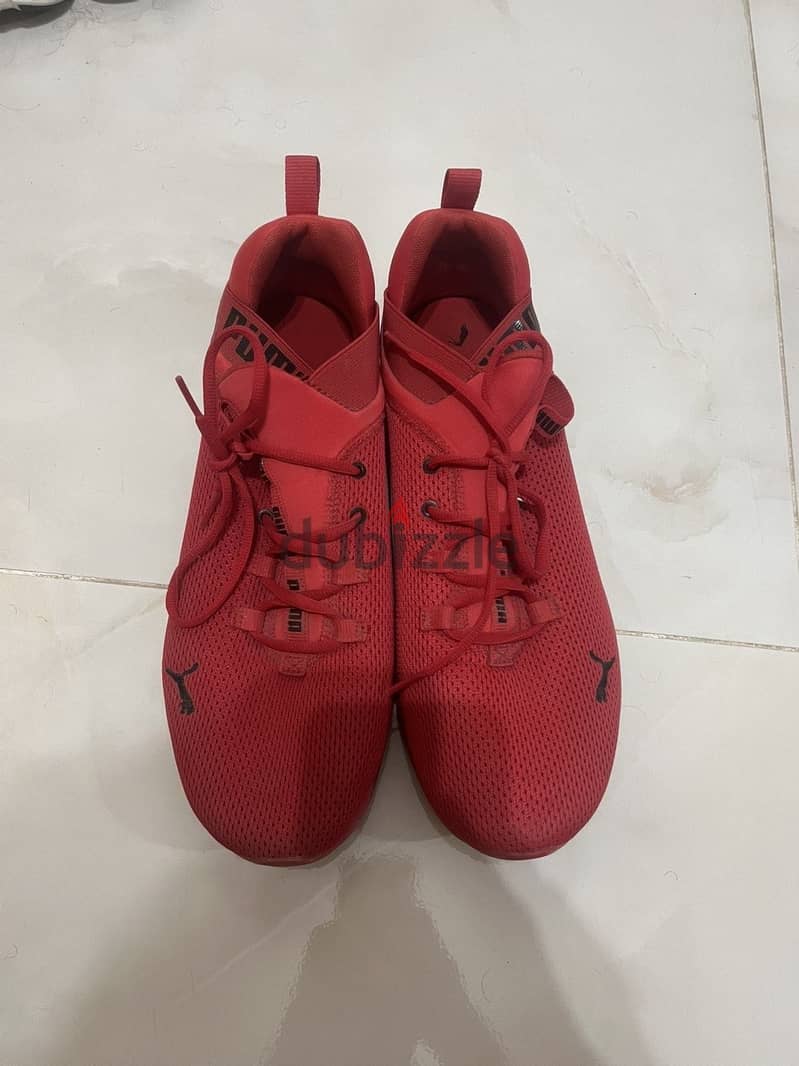 Puma shoes 1