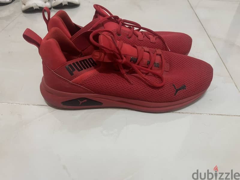 Puma shoes 2