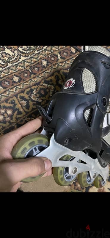 skate from usa