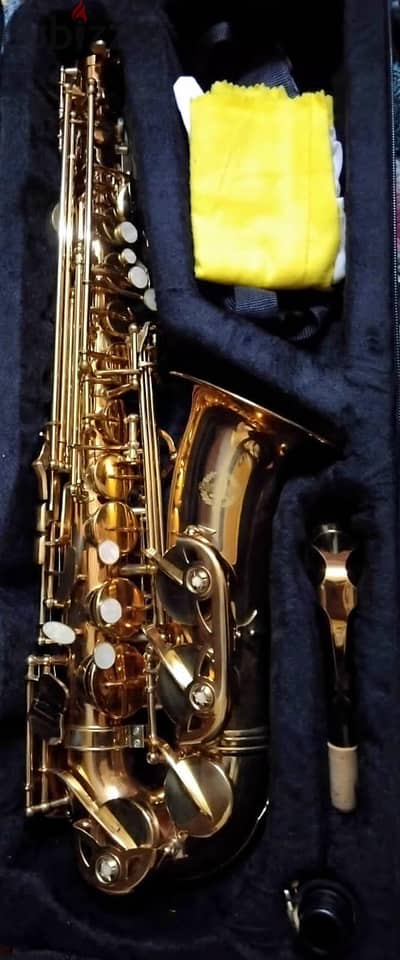 saxphone alto suzuki