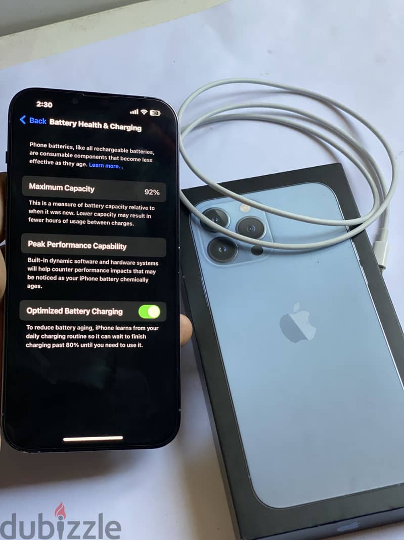 iPhone 13 Pro Max 1
