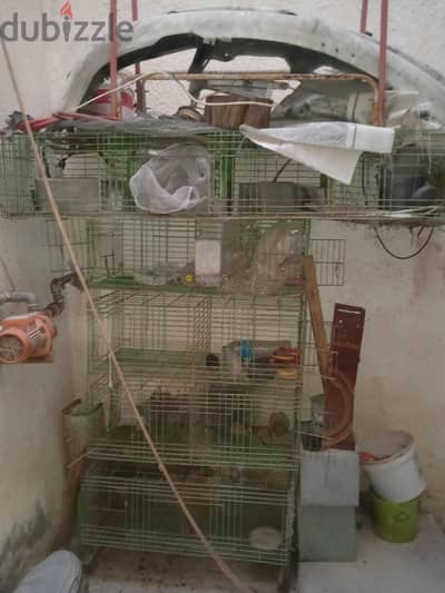 بطاريه ارانب بدورين افقي