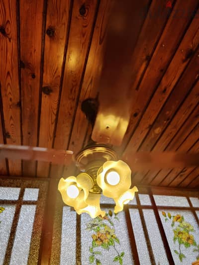 USHA Ceiling Fans