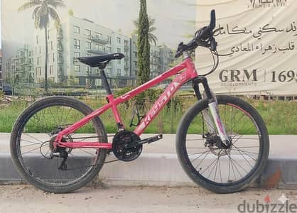 mountain bike