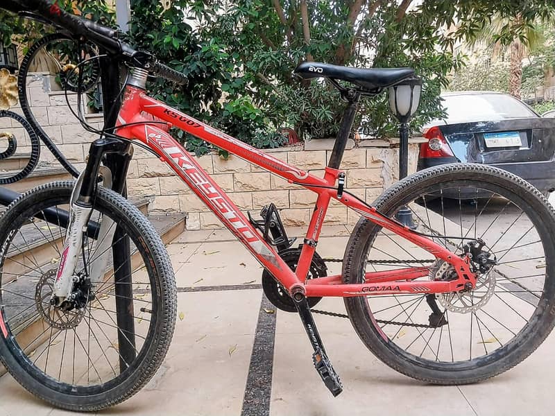 mountain bike 1