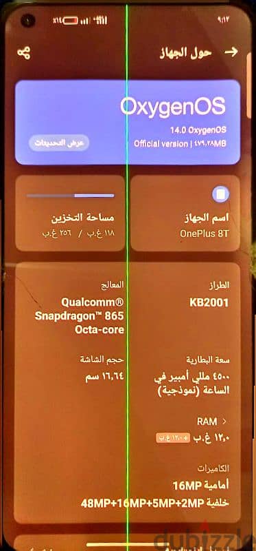المنوفيه