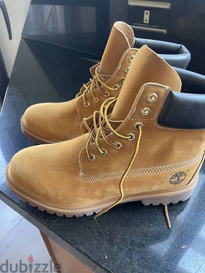 boots,  brown leather, TIMBERLAND never worn, size EUR 45, US 11