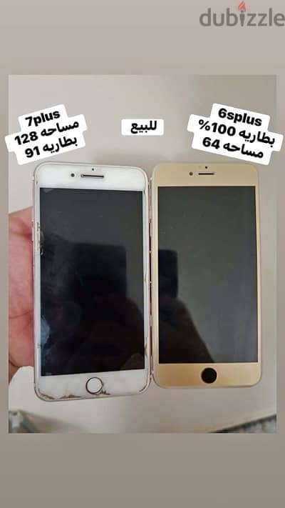 اسكندريه العجمي البيطاش