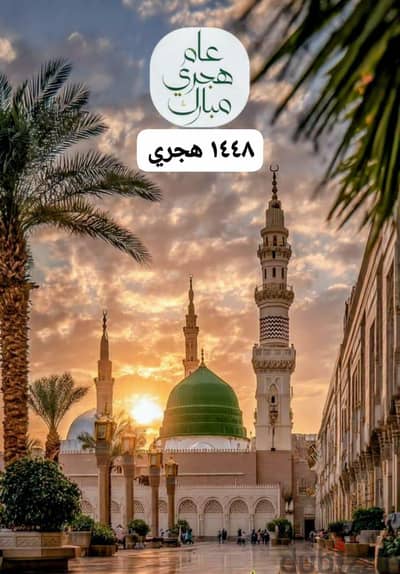 خبز ناشف طازج للبيع بطنطا