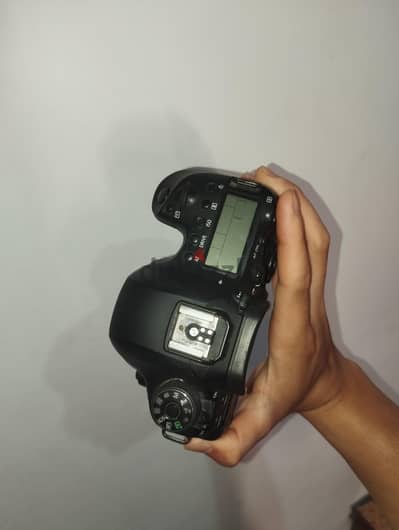 6d mark ii