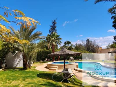 طريق اسكندريه الصحراوي